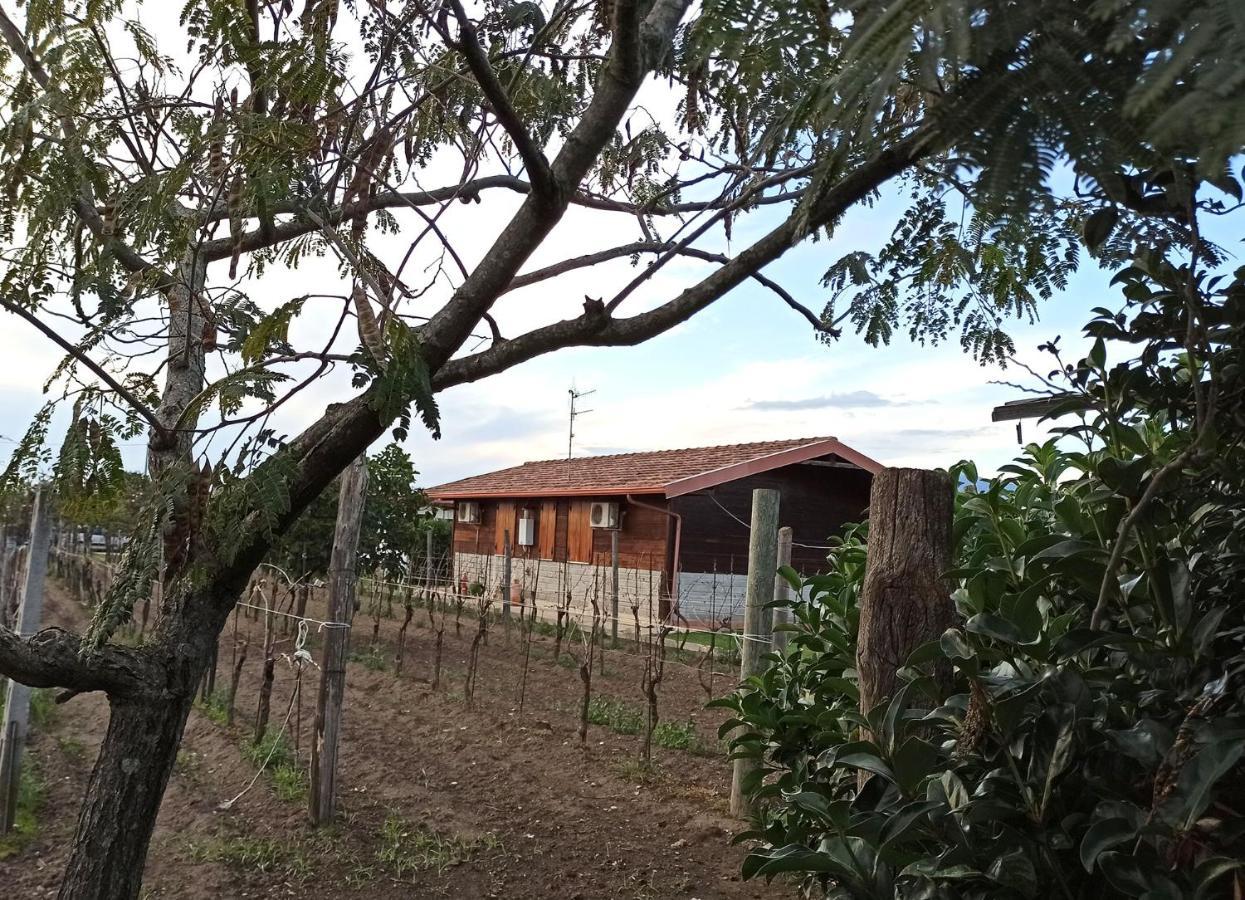Vila Agriturismo Borgo Baldassarre Cellole Exteriér fotografie